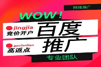 案例分析：百度推广优化，打造高效广告投放